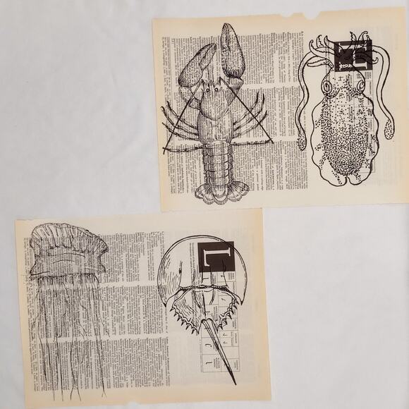 Sea Themed Dictionary Prints, Black and White Sea Prints, Book Page Prints - Picture 6 of 6